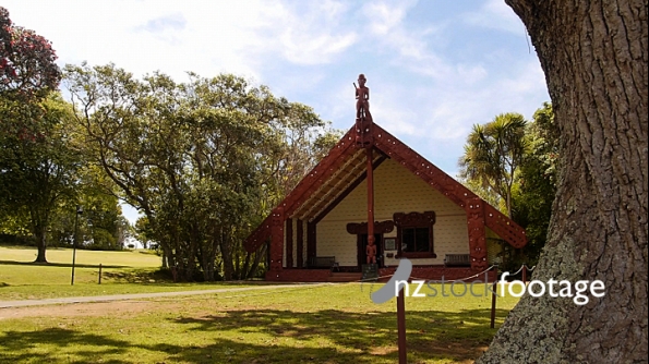 Waitangi Maori Meeting House 3 4631